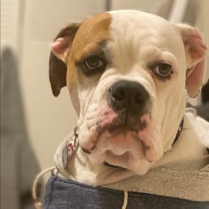 Meet your Posher, Tanni